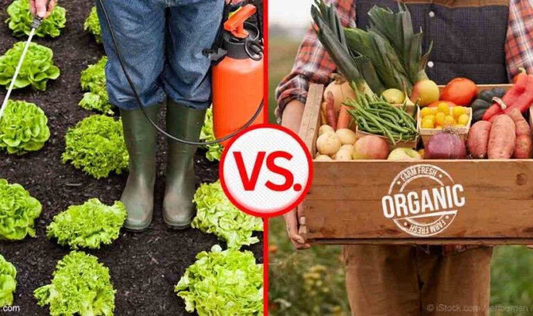 Factory Farming vs. Organic Farming: The Battle for America's Dinner Plate 