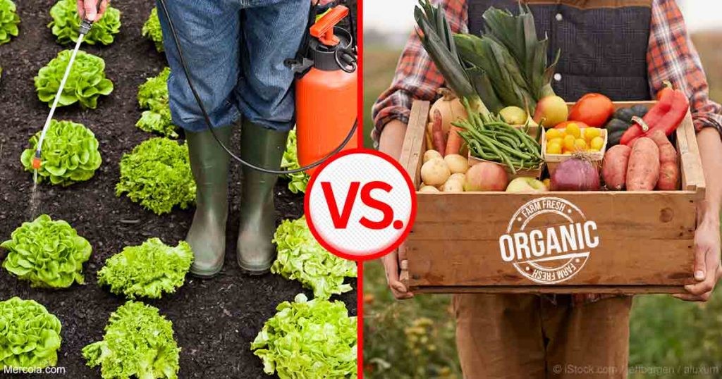 Factory Farming vs. Organic Farming: The Battle for America's Dinner Plate 