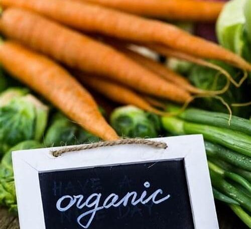 The Organic Advantage: Unveiling the Benefits of Organic Foods 